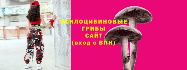 экстази Богданович